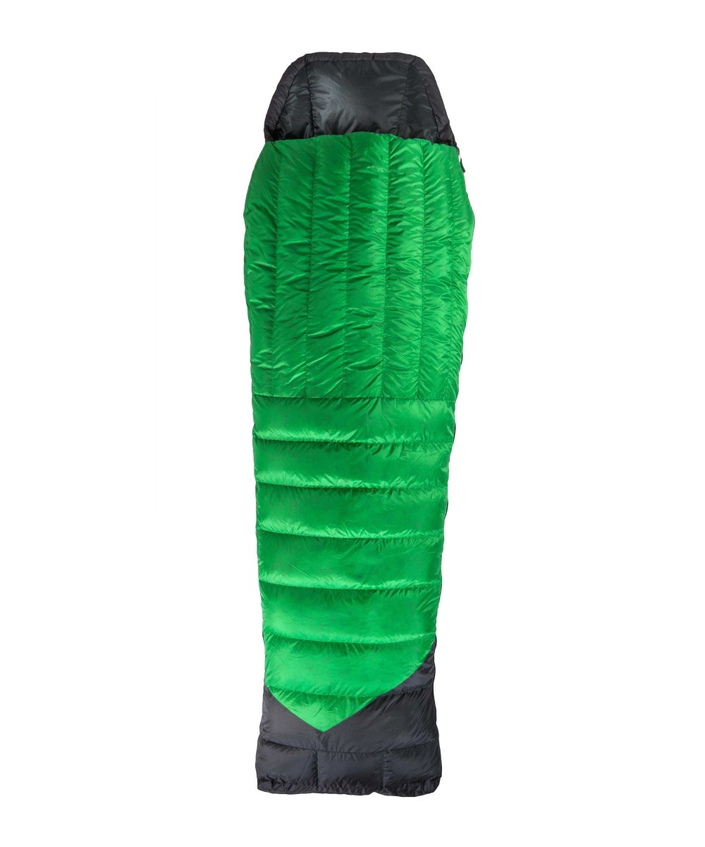 Grasshopper